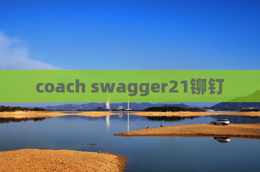 coach swagger21铆钉